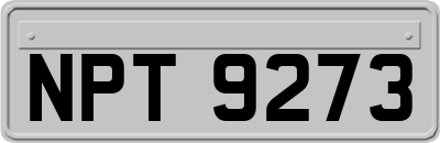 NPT9273