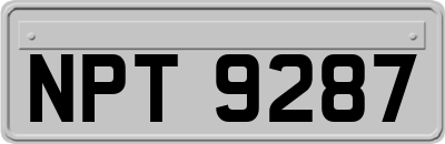 NPT9287