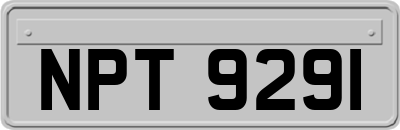 NPT9291