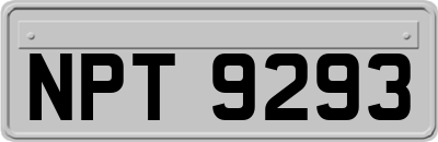 NPT9293