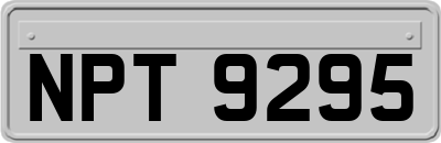 NPT9295