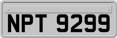NPT9299