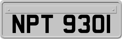 NPT9301