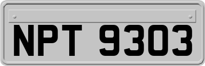 NPT9303
