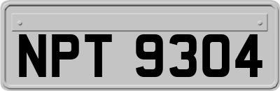 NPT9304