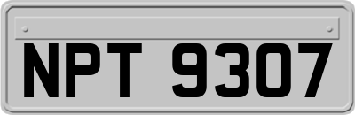NPT9307