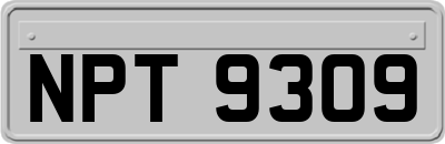 NPT9309