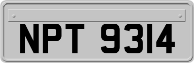 NPT9314