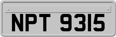 NPT9315