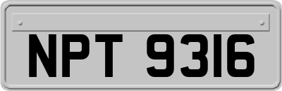 NPT9316