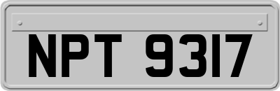 NPT9317