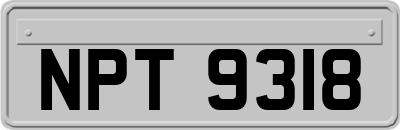 NPT9318