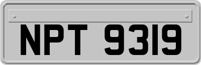 NPT9319