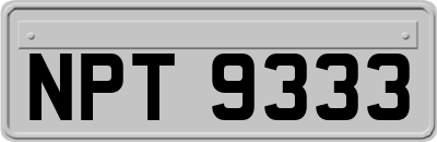 NPT9333