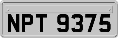 NPT9375