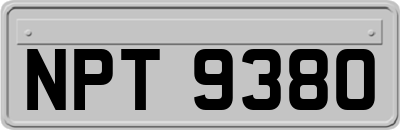 NPT9380