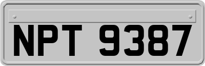 NPT9387