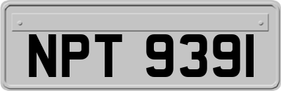 NPT9391