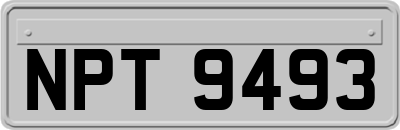 NPT9493