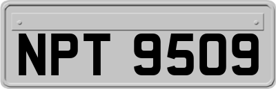 NPT9509