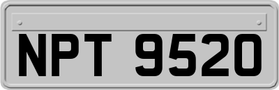 NPT9520