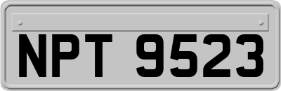 NPT9523