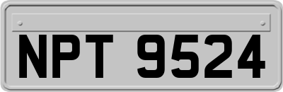 NPT9524