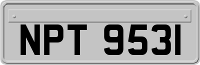NPT9531