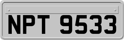 NPT9533
