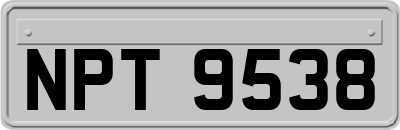NPT9538