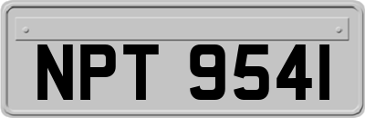 NPT9541