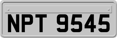 NPT9545