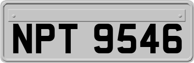 NPT9546