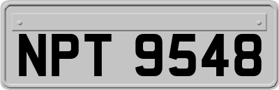 NPT9548
