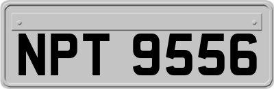 NPT9556