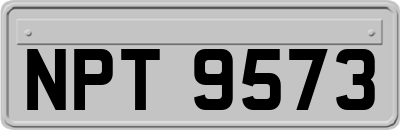 NPT9573
