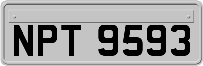 NPT9593