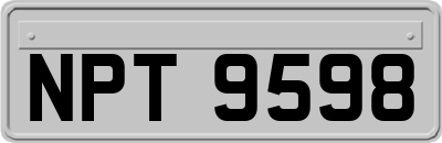 NPT9598