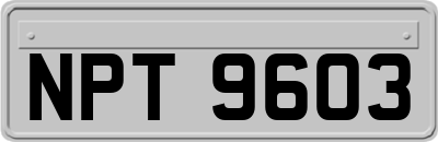 NPT9603