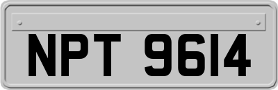 NPT9614
