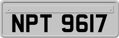 NPT9617