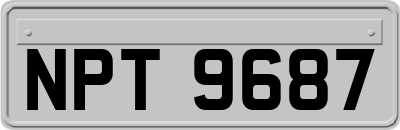 NPT9687
