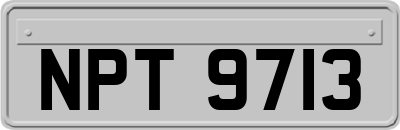 NPT9713