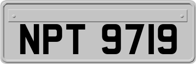 NPT9719