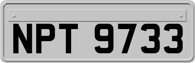 NPT9733