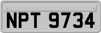 NPT9734