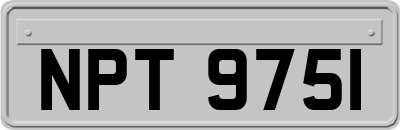 NPT9751