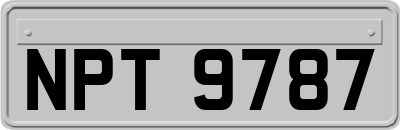 NPT9787