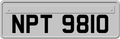 NPT9810