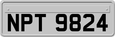 NPT9824